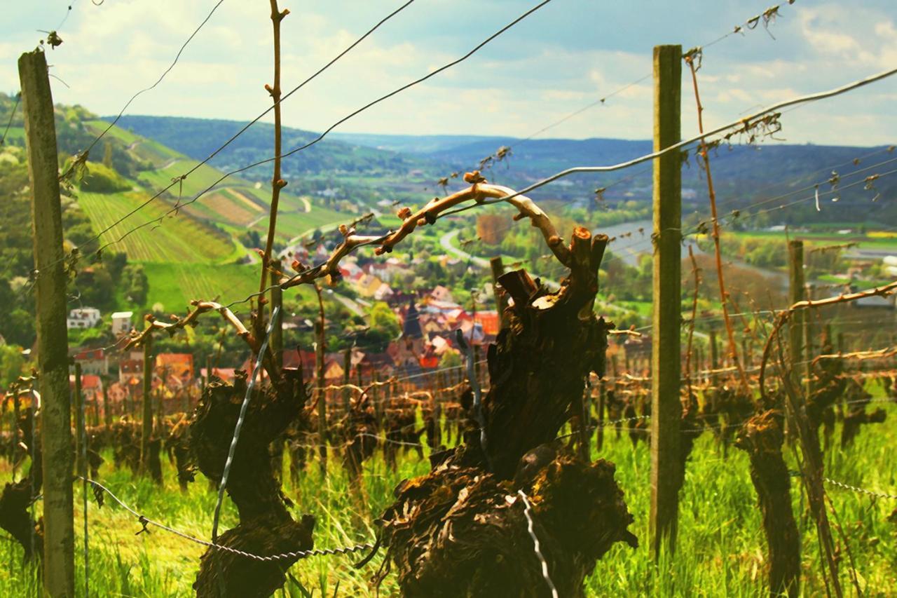 Brunnenhof - Kleine 3*